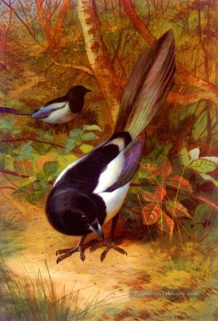 Magpies Archibald Thorburn oiseau Peinture à l'huile